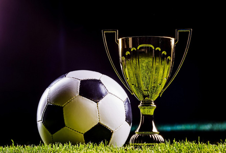 期望在未来 期望在未来