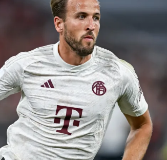 挥的绝对作 挥的绝对作