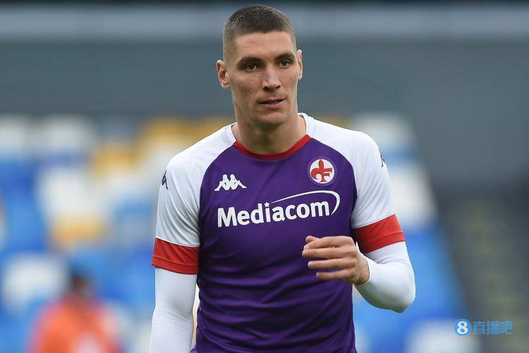 山东泰山和 山东泰山和