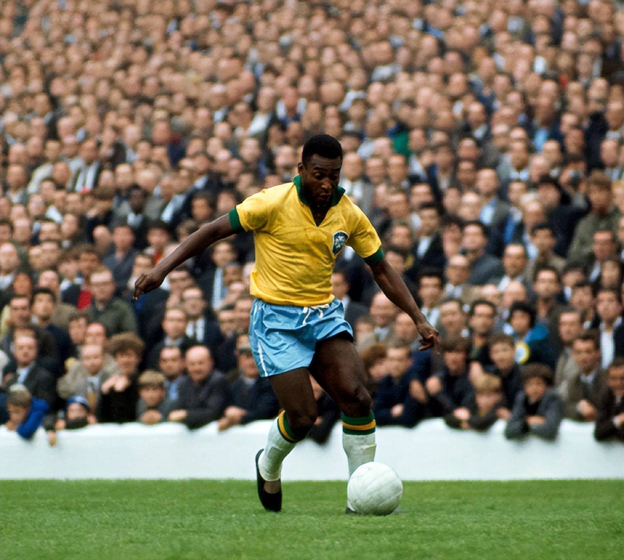 的速胜更具 的速胜更具