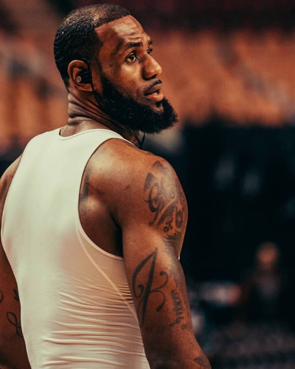 增长曲线 增长曲线